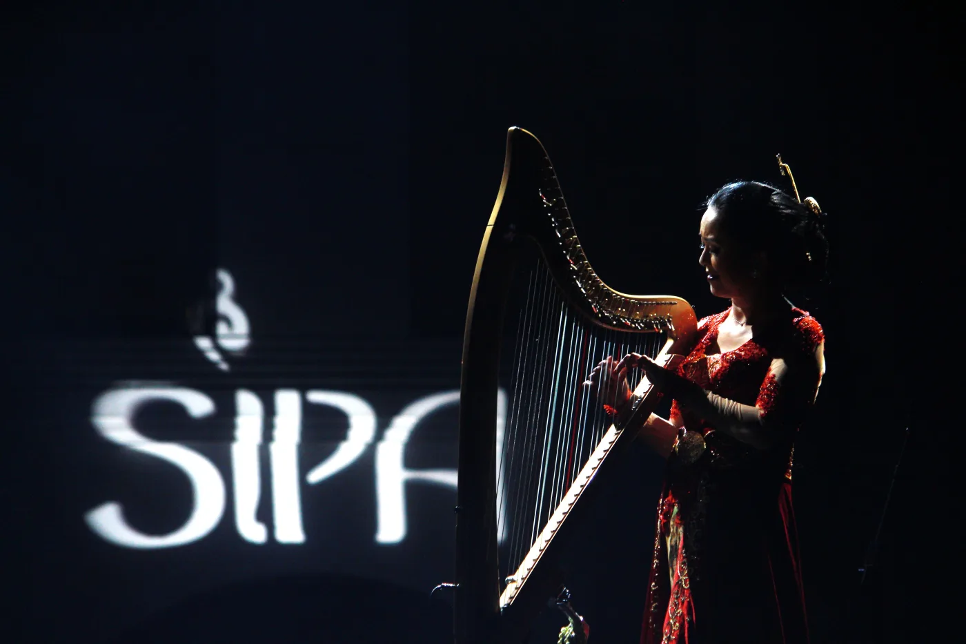 SIPA 2016 Documentation 3