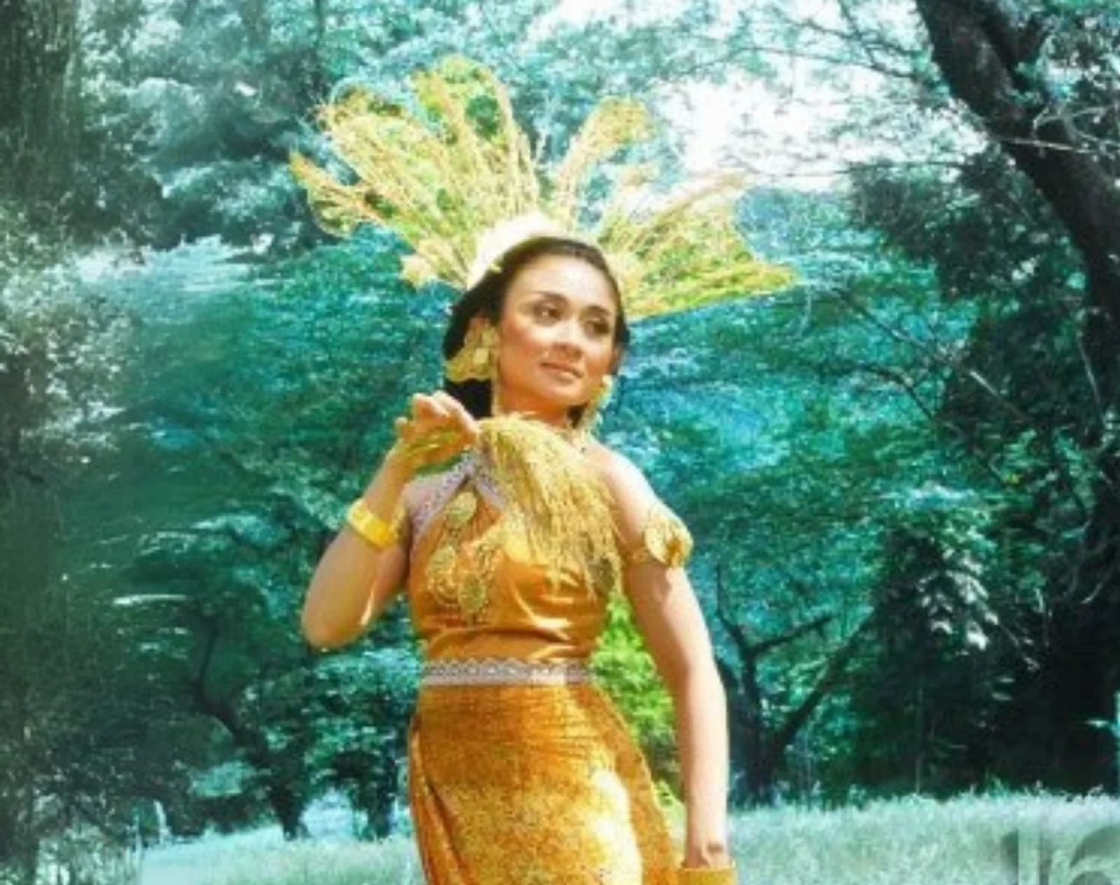 SIPA Festival 2010